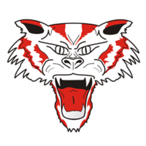 cropped-LOGO-SOLO-TIGRE.png RUGBY MANTOVA - TIGRI 1975 ASD